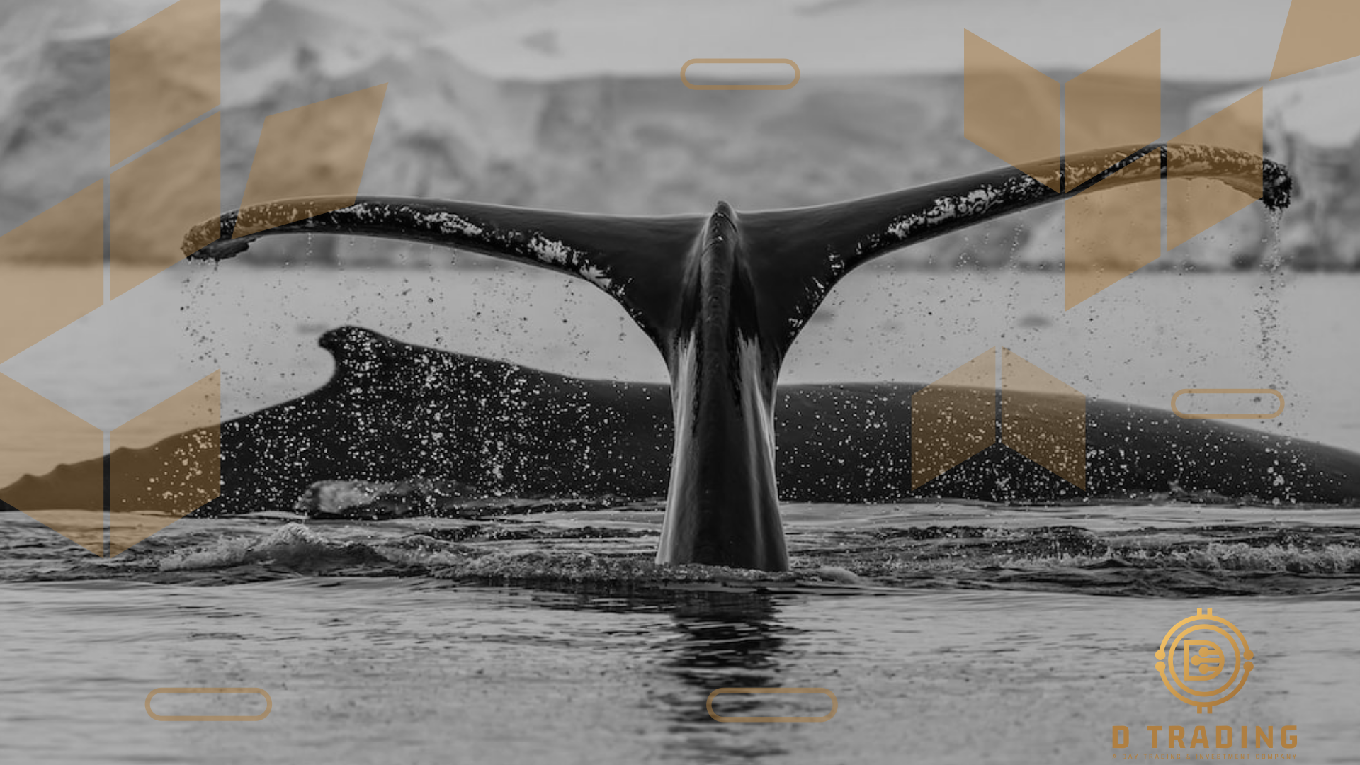 Discover their strategies, impact, and ethical considerations. Discover accumulation tactics, market manipulation, and ripple effects. Master tracking tools, risk management, and gain a long-term perspective. Decode the enigma of #crypto whales and gain valuable insights. #blockchain Crypto Whales and their behaviours